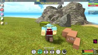 How to Get the Adurite Load out in Booga Booga!!! (Read DESC!!!)