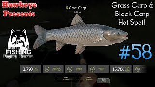 Russian Fishing 4 | #58 | Grass Carp & Black Carp Hot Spot!