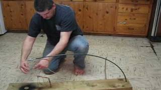 bird trap