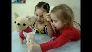 Интерактивная ChiChi Love(Чичи лав)! Обзор собачек ChiChi Love разных моделей!