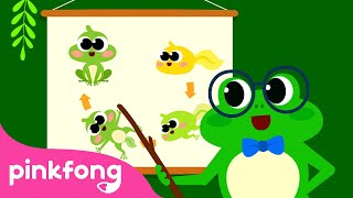Baile de Transformación de la Rana | Animales para Niños | Pinkfong Canciones ​Infantiles