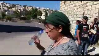 קבלת פנים לנשות ווטש בחברון -- Jew from Hevron vs. Machsom Watch