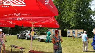 Postavljanje mlaja - pozdrav poletju - Midsommarfest