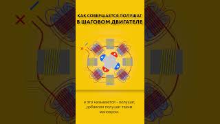 Что такое полушаг? ШАГОВЫЙ ЭЛЕКТРОДВИГАТЕЛЬ