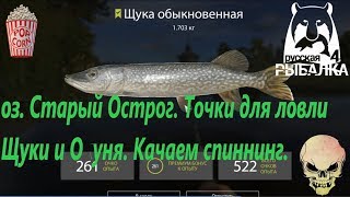 Русская Рыбалка 4. оз. Старый Острог. Места для ловли Щуки и прокачки спиннинга.