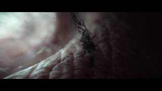 Alien covenant scene ( The insect entering into the hear)