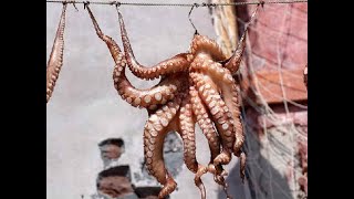 Щупальцы  кальмара  на барбекю  простой  рецепт