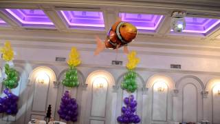Летающие рыбы(air swimmers) от Шарики по-одесски