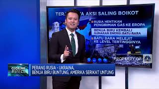 Perang Rusia-Ukraina, Benua Biru Buntung, AS Untung