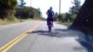 Bandit Wheelie