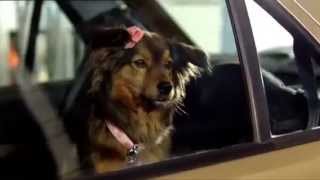 Citroen C3 Spot 2013