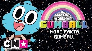Gumball | Morsom fakta om Gumball | Norsk Cartoon Network