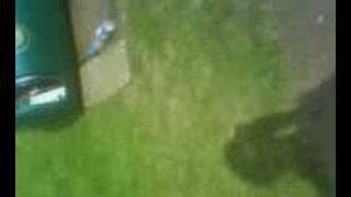 HILARIOUS BIN STACK