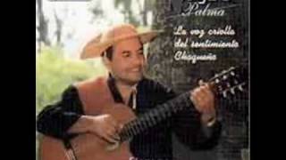Negro Palma La Traidora (ryga100979)