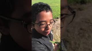 How to eat pussy ?