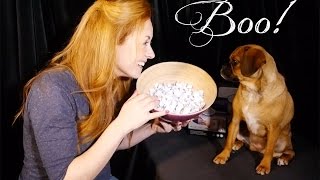 SleepPhones Giveaway Draw - Feat. Boo!