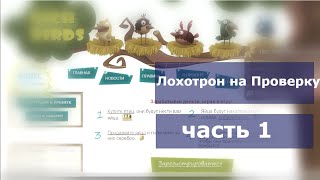 #1 Лохотрон на проверку - rich-birds.org (Заработай на своих яйцах)