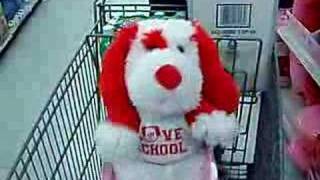 Singing Valentines day dog