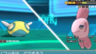 【糞運ゲー】ノコッチの頑張りとヌケニンの悲劇【ポケモンORAS】