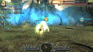 Sea dragon nest - seleana tank