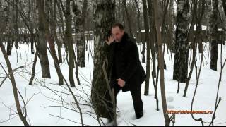 Безответная любовь