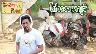 ถึงพริกถึงขิง 23-11-18 : ไก่งวงราชบุรี