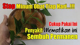 JANGAN TUNGGU TAMBAH PARAH!!! CUMA PAKAI DAUNAN INI, HIPERTENSI NORMAL KEMBALI