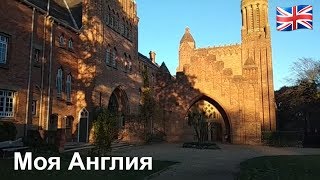 392. Новый  скандальчик...  а  то  ли  еще  будет