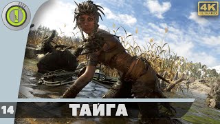 ПРОХОЖДЕНИЕ ➤METRO EXODUS➤ [4K] БЕЗ КОММЕНТАРИЕВ — #14 [ТАЙГА]