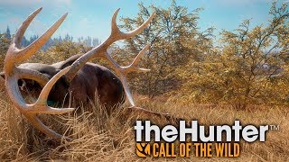 Прохождение игры theHunter: Call of the Wil #75 Yukon Valley продолжение сюжета часть 2
