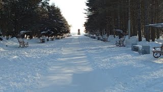 50-я широта, - 30 С. Полдень.