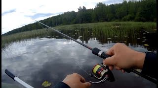 Ловля щуки в кувшинках на спиннинг . Воблеры . JACKALL MAGALLON