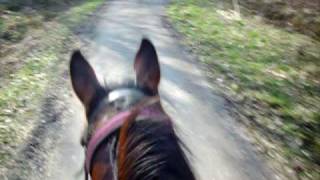 19 03 09 Les graviers