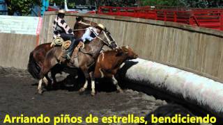 Arriando piños de estrellas