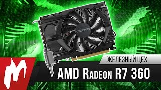 Бюджетный вариант — AMD Radeon R7 360 — Железный цех — Игромания