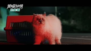 《黑喵知情預告》EP8 只有你能跟波波溝通