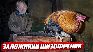 Шанса выжить нет... | Орловская обл. г. Малоархангельск