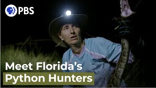 Meet Florida's Invasive Burmese Python Hunters