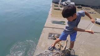 통발낚시,  텐다가 올리는 통발엔 무엇이 있을까요_ fish trap, fishing of sea