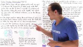 Determining Protein Struture