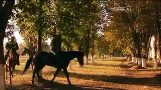 Фильм «Формула Анилина» 12+