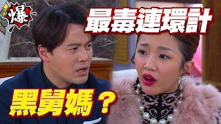 《多情大爆爆》多情城市 EP365 最毒連環計 黑舅媽？