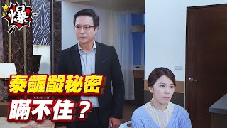 《多情大爆爆》多情城市 EP194 泰齷齪秘密 瞞不住？