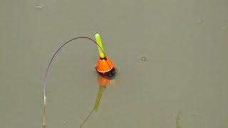 Best Fishing Video (Part--47)
