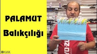 Palamut Balıkçılığı Nasıl Yapılır? Palamut Avında Hangi Ekipmanlar Kullanılır? Kısık Balık