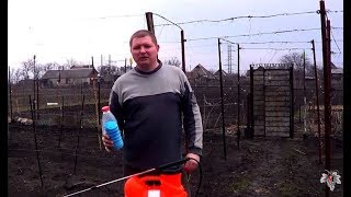 Обработка винограда по голой почке. Бордосская жидкость. Опрыскиватель Agrimotor. Виноград 2016.