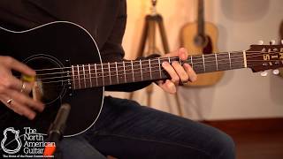 Iris OG-e Tobacco Sunburst Acoustic Guitar Played By Brian Love (Part Two)