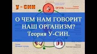 О чем нам говорит наш организм? Теория У-СИН. Здоровье с ЦСТО "Жемчужина Востока".