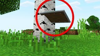 THROW YOUR MINECRAFT SHIELD? (Minecraft News Update)