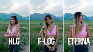 HLG vs F-log vs ETERNA  | Fuji X-T3
